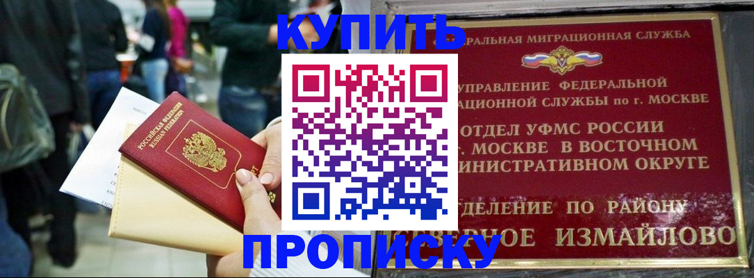 временная прописка в Козельске